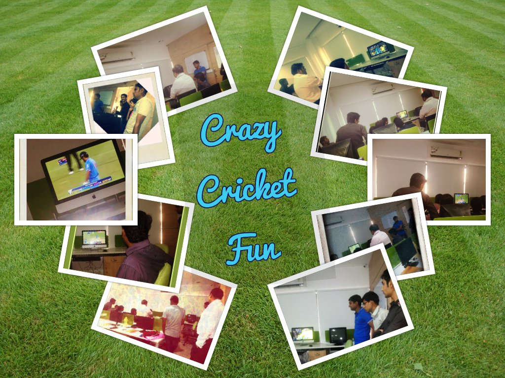 Crazy Cricket Fun