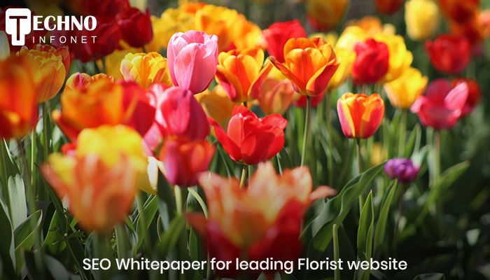 SEO Whitepaper for leading Florist website