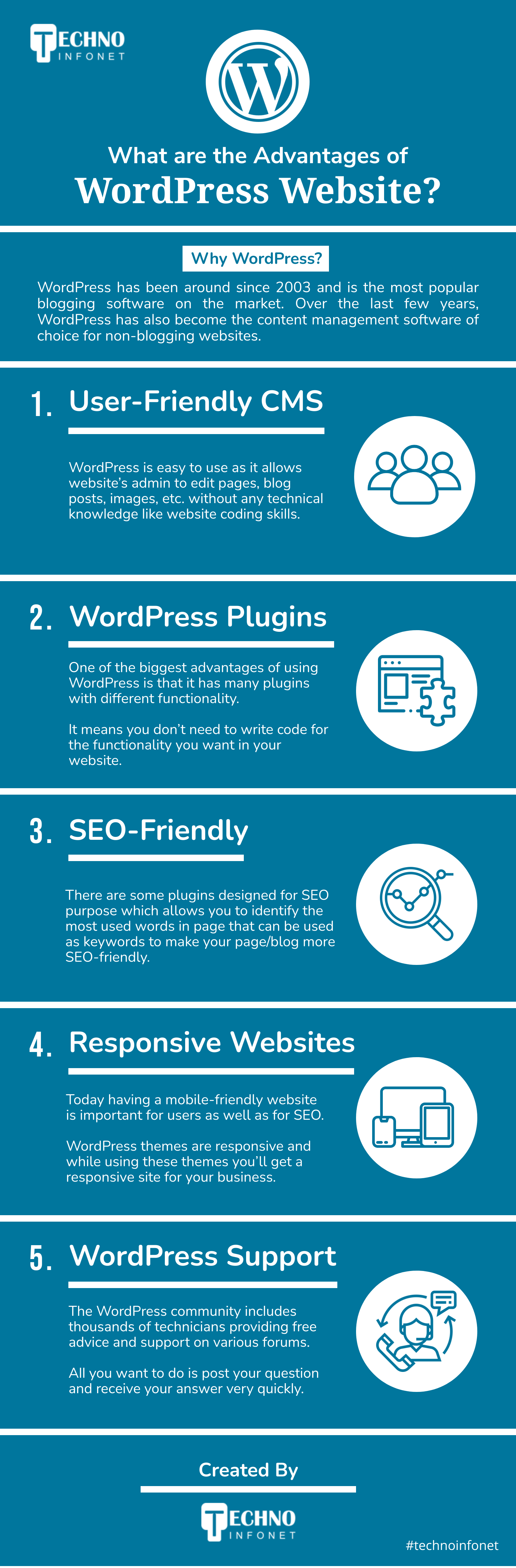 Advantages of WordPress Website Infographic